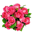 Affection - 12 Pink Roses
