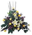 Arrangement of Cut Flowers