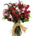Mixed Cut Flowers