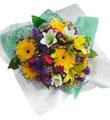Mixed Cut Flowers