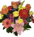 Mixed Cut Flowers