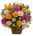 Arrangement of Multicolored Flowers