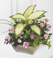 The FTD� Garden of Grace� Planter