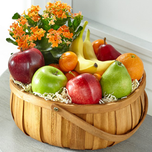 The FTD� Plant and Fruit Basket
