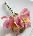 The FTD� Pink Peruvian Lily Boutonniere