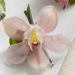The FTD� Pink Cymbidium Boutonniere